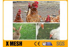 China Antirust Galvanized Hexagonal Chicken Mesh Rabbit Netting Screen 0.9X 30M Roll supplier