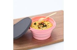 China Lightweight 750ML Foldable Collapsible Silicone Bowl With Lid supplier