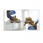 43In Smart Mirror 500cd/M2 Wall Mounted Advertising Display Alu Edge for sale