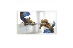China 43In Smart Mirror 500cd/M2 Wall Mounted Advertising Display Alu Edge supplier