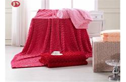 China Pattern Brushed Throw Plush Fur Blanket Dry Clean Medium Warmth Durable Fabric supplier