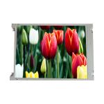 TX36D81VC1CAB 14.1 inch 1024*768 LCD Screen Panel LCD Module for sale