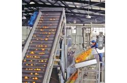 China 3 In1 Automatic Citrus Fruit Juice Processing Machine supplier