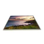 LTD141EA0D 14.1 inch 1024*768 TFT-LCD Screen Display for sale