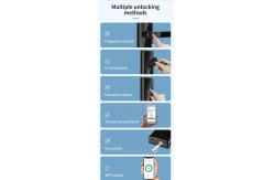 China 5kg Fingerprint Biometric Door Lock Passcode IC Card Bluetooth Door Lock supplier