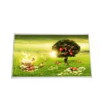 B140RW01 V2 14.0 inch 1600*900  LCD SCREEN PANEL for sale