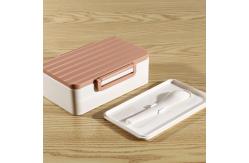 China One Layer Japanese Disposable Bento Box Containers With Lid supplier
