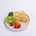 Plant Starch PLA Compostable Disposable Tray Plate Biodegradable for sale