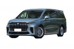 China 2023 VOYAH Dreamer Voyah EV 50km Range 6-8h Charging Time Daily Commuting supplier