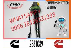 China Diesel Engine Parts K19 QSK19 QSK Engine Fuel Injector 2882130 2881089 supplier