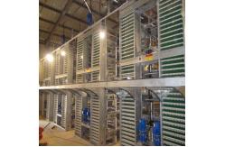 China Poultry Chicken Farm Used Layer Chicken Cage 9 Layers / Cell supplier