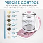 1.5L 1500W Glass Water Kettle Clear Tea Kettle With Infuser LED Base