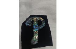 China Customized Hologram Rainbow TPU OEM Garment Symphony TPU Badge supplier