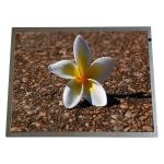 LQ150X1LG55 15.0 inch 1024*768 Industrial LCD Screen Panel for sale