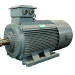 Radial Flux Permanent Magnet Generator Alternator 220V 380V Eco Friendly for sale