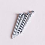 Galvanized Steel Construction Nails Flat Head High Strength Customized for sale