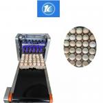 Purple Ink Multiple Lines and Provided Service Eggs Inkjet Printer for sale