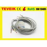 Compatible HP M1770A 10 lead ECG/EKG cable and leadwires with Banana4.0 IEC standard for sale