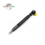 New Fuel Injector EJBR00301D A6710170121 for Delphi Engine