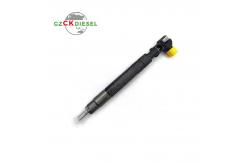China New Fuel Injector EJBR00301D A6710170121 for Delphi Engine supplier