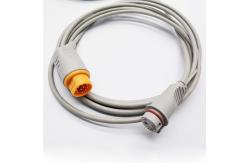 China 3.0m 10 Pin ED Transducer Siemens IBP Adaptor Cable supplier
