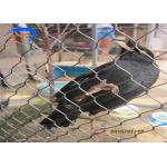 316 Grade 1.5mm 30*30mm Stainless Steel Zoo Mesh for sale