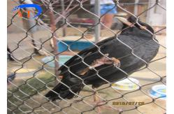 China SS316 Aviary Zoo 4.0mm Wire Rope Mesh For Bird Cages supplier