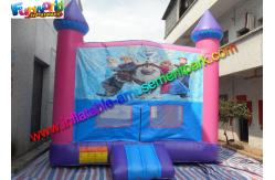 China CE Certification Frozen Commercial Bouncy Castles Inflatable Bouncer For Parks supplier