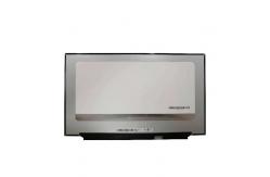 China New B173HAN05.0 RGB 1920*1080 Frequency 240Hz LCD Panel supplier
