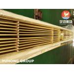 B111 C68700 Aluminium Brass o61 Annealed U Bend Tube Copper Alloy Cold Drawn for sale