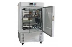 China Sterilized Seed Incubator With Constant Temperature And Humidity Control Chamber supplier