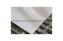 China                  Plastic Mesh Belt Conveyor Plastic Chain Conveyor Modular Belts              supplier