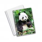 Wholesale customized hot sale size A6 A5 A4 PET spiral 3D lenticular CMYK printing notebooks for office work for sale