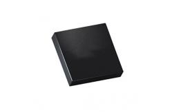 China Wireless Communication Module BGM240SA22VNA2 High-Performance Wireless BT SiP Module supplier