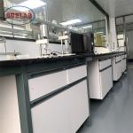 High Safety Chemistry Lab Workbench Anti Strongest Chemical for sale