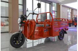 China Hot Sale  Scootre/3 Wheel Taxi With Side Seat supplier