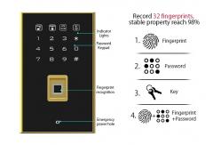 China 266±2kg Fingerprint Lock Commercial Safe Box with Patent Solid Bolts Adjustable Shelves supplier