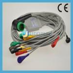 Lifepak12 Medtronic Physio-Control 10 lead ECG Cable with leadwires for sale