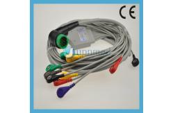 China Lifepak12 Medtronic Physio-Control 10 lead ECG Cable with leadwires supplier