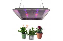 China FCC Knob Dimming IP65 Horticulture LED Grow Lights For Greenhouse supplier