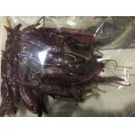 High Fruitiness Erjingtiao Dried Chilis For Chili Oils Ingredients for sale