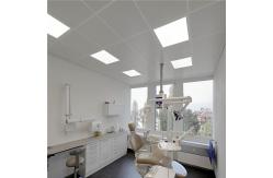 China White 40w LED Ceiling Light Surface Recessed Office LED Panel Light supplier