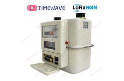 China Intelligent IoT LoRaWAN Gas Meter Real Time Monitoring Gas Consumption Meter supplier
