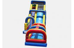 China Inflatable hippo slide giant outdoor slide, inflatable water slide supplier
