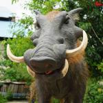 Customized Realistic Animatronic Animals Wild Boar Model With Alive Roaring Sound for sale