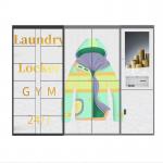 Winnsen Smart Laundry Cabinet Wash Locker with Control Management System for sale
