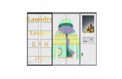 China Winnsen Smart Laundry Cabinet Wash Locker with Control Management System supplier