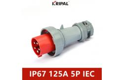 China 125A IP67 220V 6H Single Phase Dustproof Industrial Plug Socket supplier