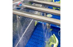 China Automatic Bubble Vortex Fruit and Vegetable Vegetable Washing Machine supplier