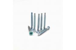 China Customized Hexagonal Socket Screw Self Tapping Countersunk Roller Coaster supplier